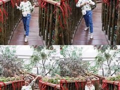 -正佳雨林生态植物园