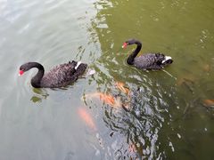 -珠海圆明新园