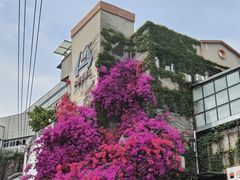 -灶东家民间菜(回兴店)