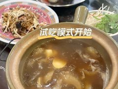 -大中鱼翅 Taitong Shark Fin