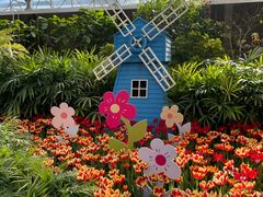 -南宫五洲植物乐园