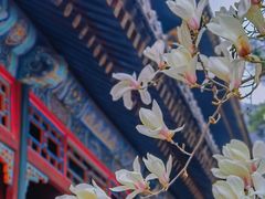 -潭柘寺景区