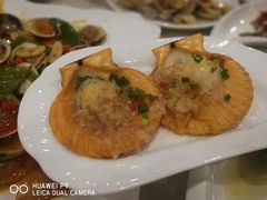 扇贝-三亚海韵度假酒店·韵和轩中餐厅