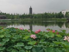 -西海子公园