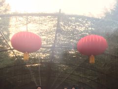 -森波拉火山温泉