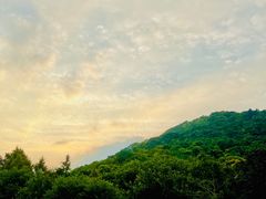 -八卦田遗址公园