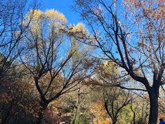 -北京鹫峰国家森林公园