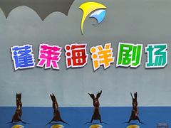 -蓬莱欧乐堡海洋极地世界