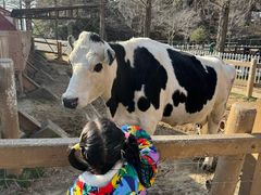 -神户市立六甲山牧场