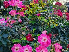 -人民公园(罗湖区)