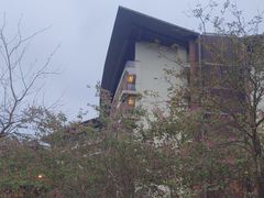 -台山颐和温泉城