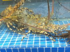 -友鹏海鲜(新宜白大道店)