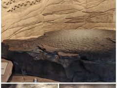 -白鹤梁水下博物馆