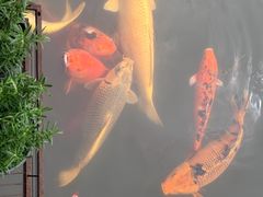 -醉香隆.山水庭院.湖北菜(东湖店)