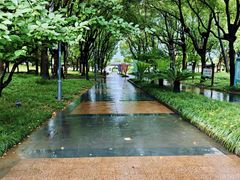 -蠡湖大桥公园