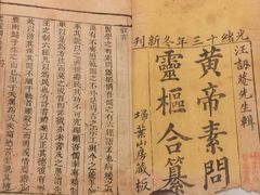 -广东中医药博物馆
