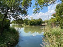 -梁鸿国家湿地公园