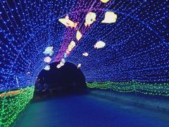 -嵊泗基湖沙滩