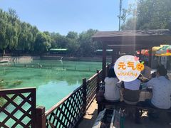 -尚庄度假村·庭台树下·户外烧烤·团建CS·轰趴营地(上庄水库店)