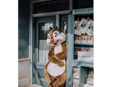 -上海迪士尼度假区