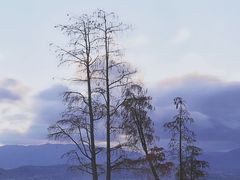 -大理洱海