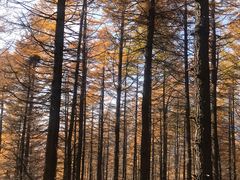 -驼梁风景区
