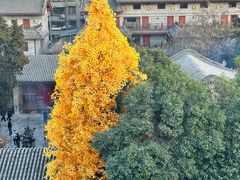 -西安城墙·碑林历史文化景区