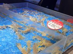 -徐记海鲜(大雁塔|金都店)
