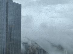 -广州四季酒店·佰鲜汇·现代法餐