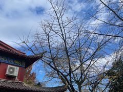 -岳麓山风景名胜区