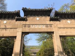 -灵谷景区