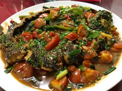 -生态苑农庄(十里画廊遇龙河店)