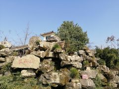 -郫都区农科村景区