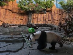 -泉州海丝野生动物世界