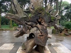 -昆明市金殿名胜区