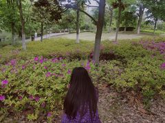 -南山风景名胜区