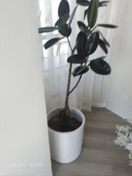 -HEYAN荷妍专业脱毛连锁机构