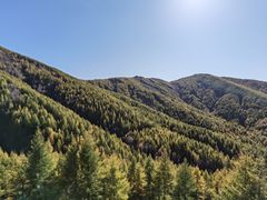 -苏木山森林公园