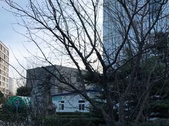 -中国中医科学院望京医院(院本部)