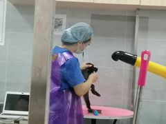 -宠福鑫康馨动物医院·骨科·眼科
