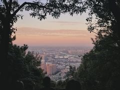 -惠山国家森林公园