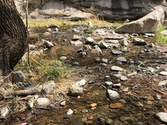 -碓臼峪自然风景区