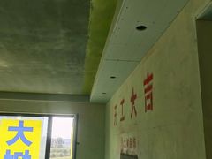 -大树装饰·十年本土家装