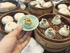 -富春茶社(国庆路店)