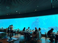 -海棠湾洲际-涛·海底餐厅·美人鱼·自助餐·海底隧道