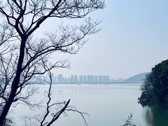 -青山湖景区