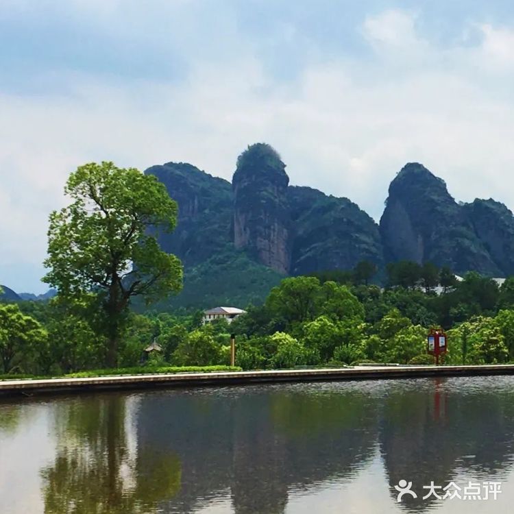 令我惊喜的是第一次看到开在悬崖边上的野百合