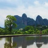 令我惊喜的是第一次看到开在悬崖边上的野百合