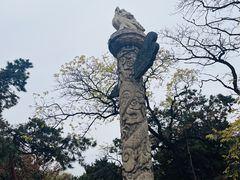 -北陵公园