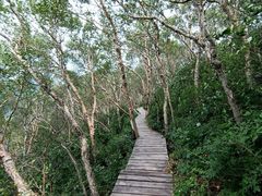 -白草畔自然风景区